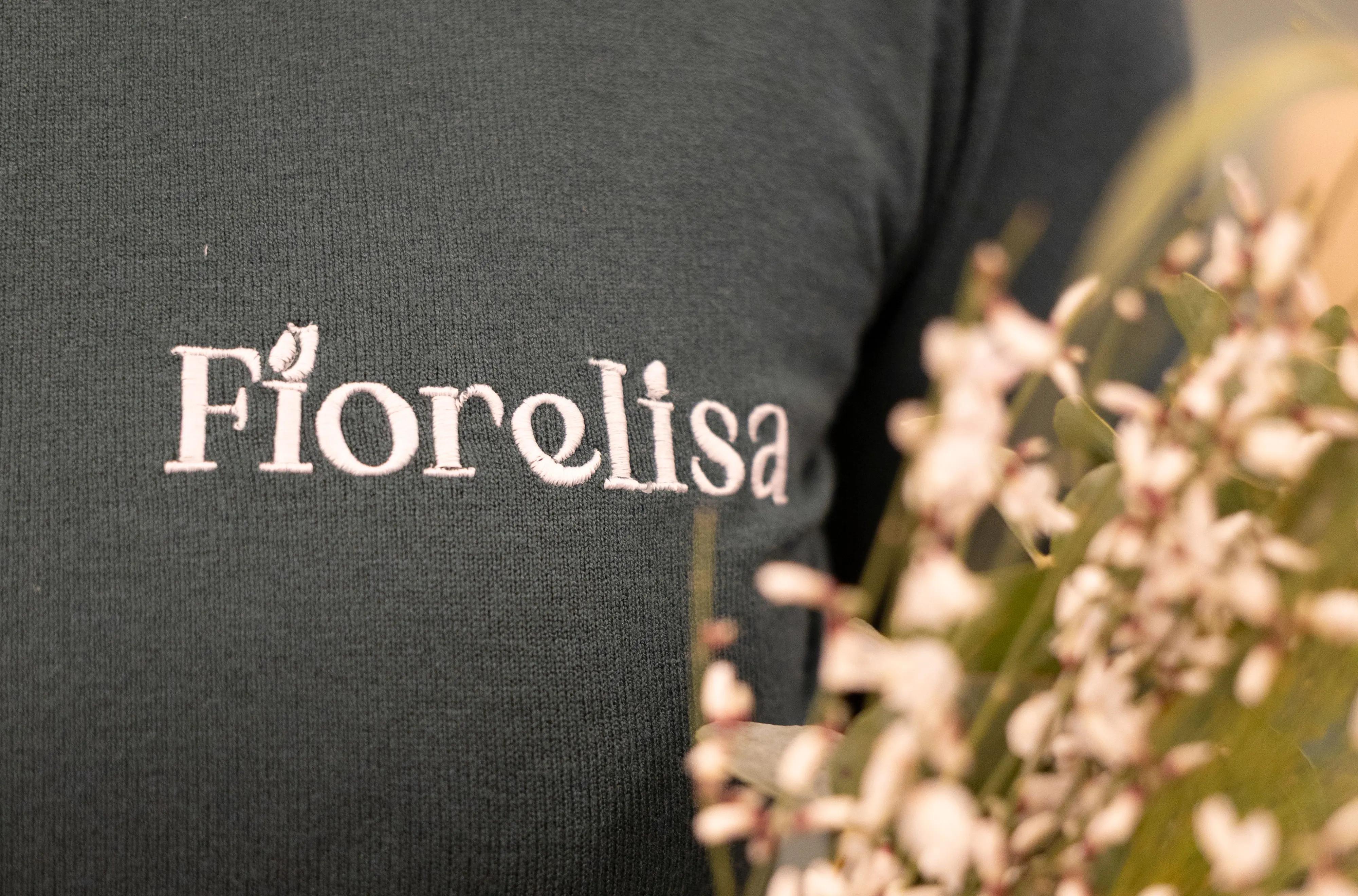 Case Study Rebrand Fiorelisa