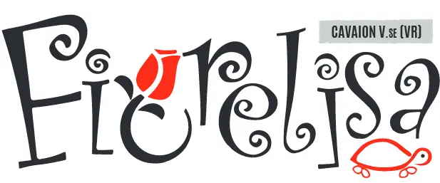 Analisi Logo Obsoleto Fiorelisa Cavaion - Prima del Rebranding